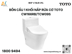 Bàn cầu một khối kèm nắp rửa cơ Ecowasher CW166RB TCW09S T53P100VR