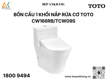 Bàn cầu một khối kèm nắp rửa cơ Ecowasher CW166RB TCW09S T53P100VR