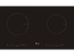 Bếp từ ARBER AB-999AEG