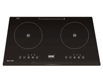 Bếp từ Giovani G-262T